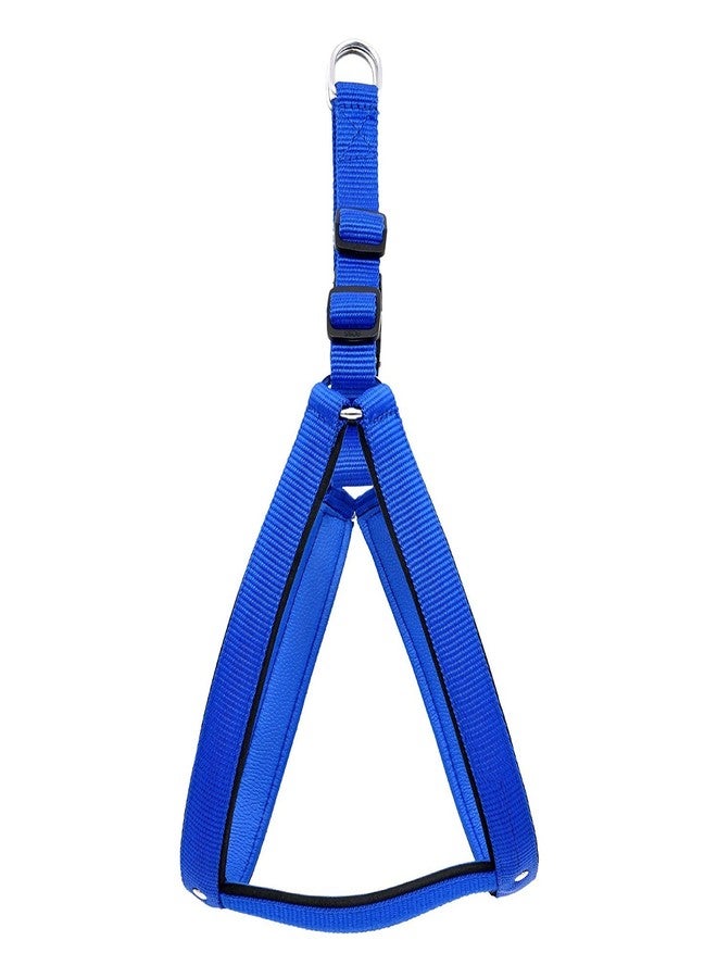 Skora Dog Harness and Collar+Leash Combo, Blue - Image 2
